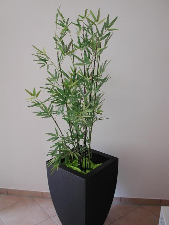 Ferienwohnung Pusteblume Cochem Ruang foto
